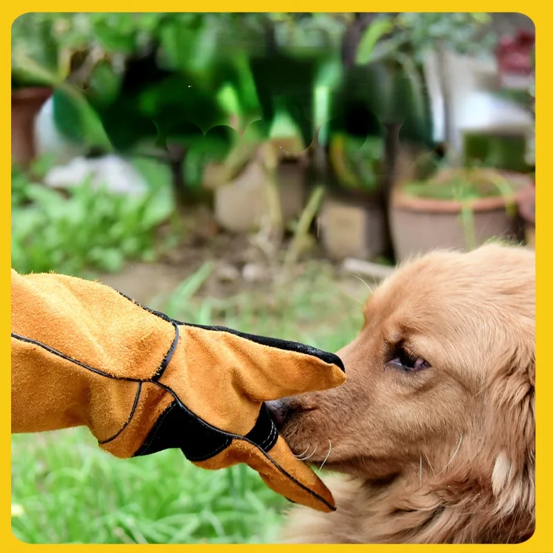 Pet Gloves Cowhide Leather Ant - Leatherwork Training recensione e prezzo