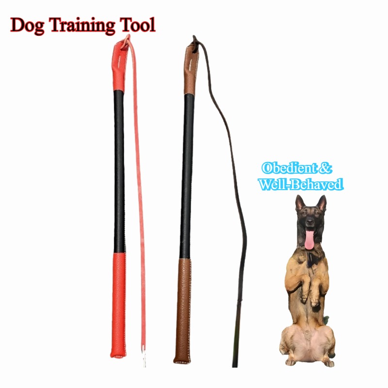 Leather Crack Whip - Dog Train - Leatherwork Training recensione e prezzo