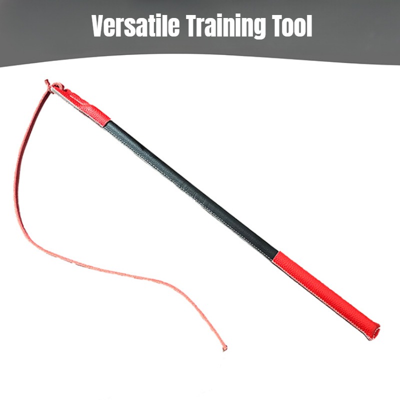 Leather Crack Whip - Dog Train - Leatherwork Training recensione e prezzo