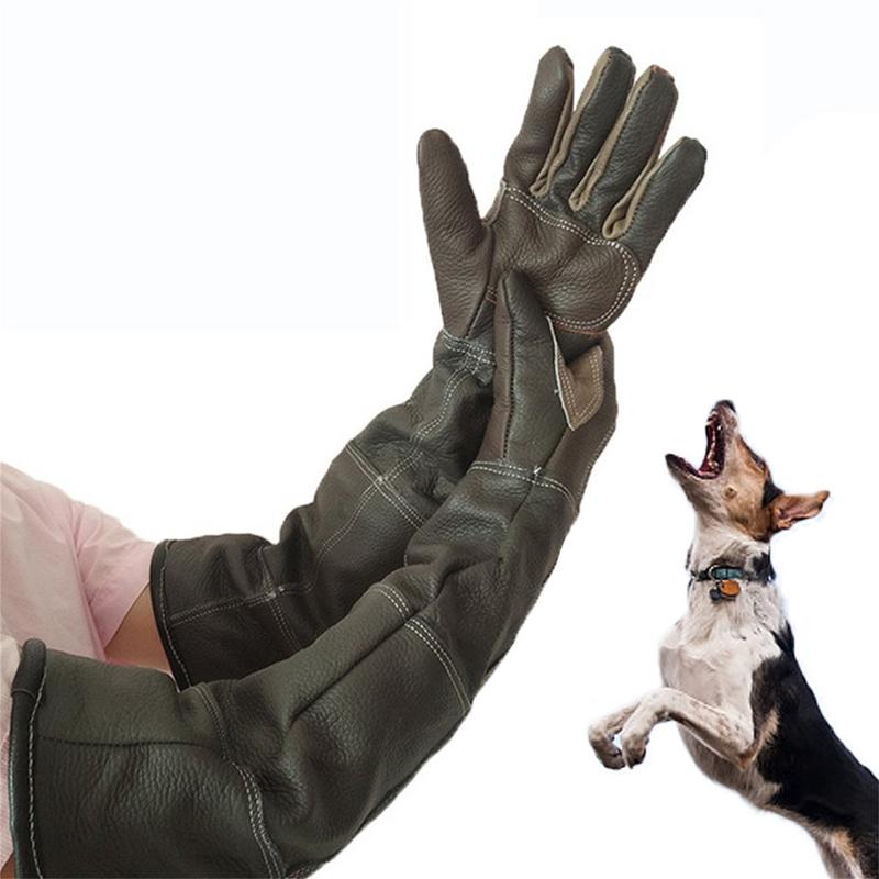 Pet Gloves Cowhide Leather Ant - Leatherwork Training recensione e prezzo