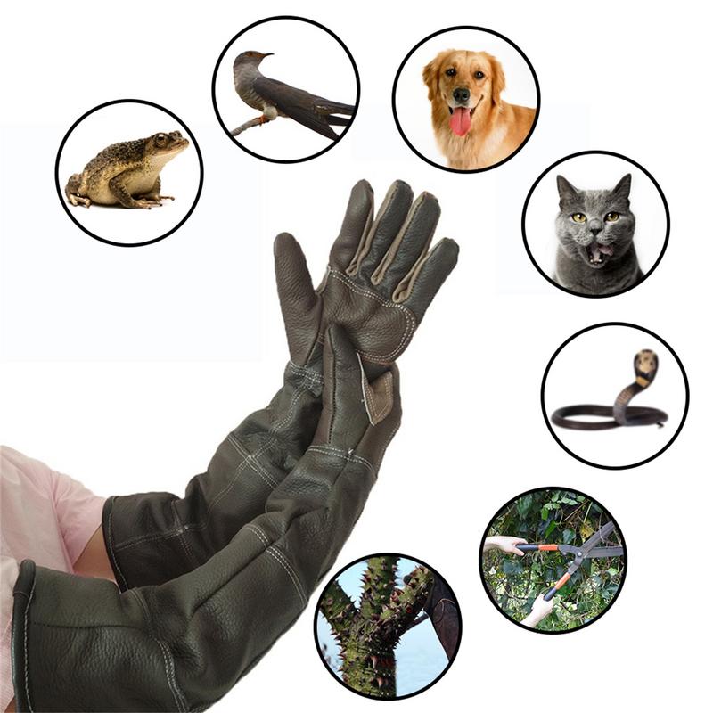 Pet Gloves Cowhide Leather Ant - Leatherwork Training recensione e prezzo