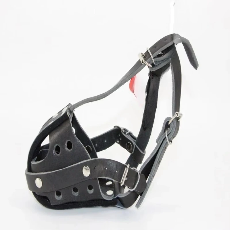 Tactical Dog Leather Working D - Leatherwork Training recensione e prezzo